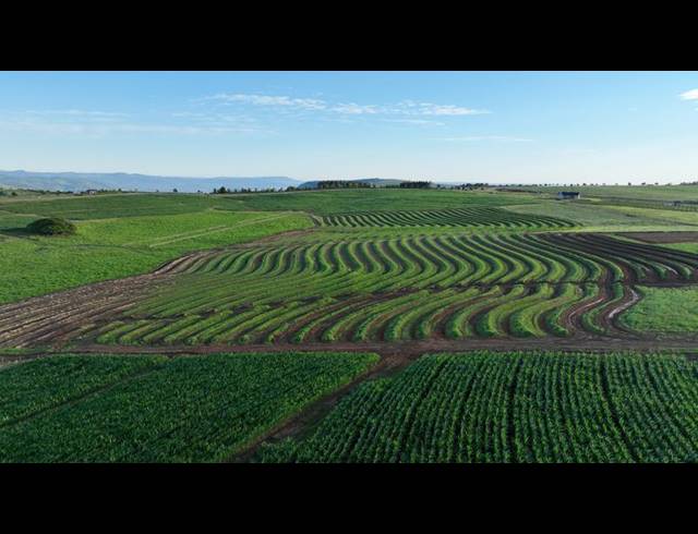 LAND FOR SALE IN MOUNT VERDE